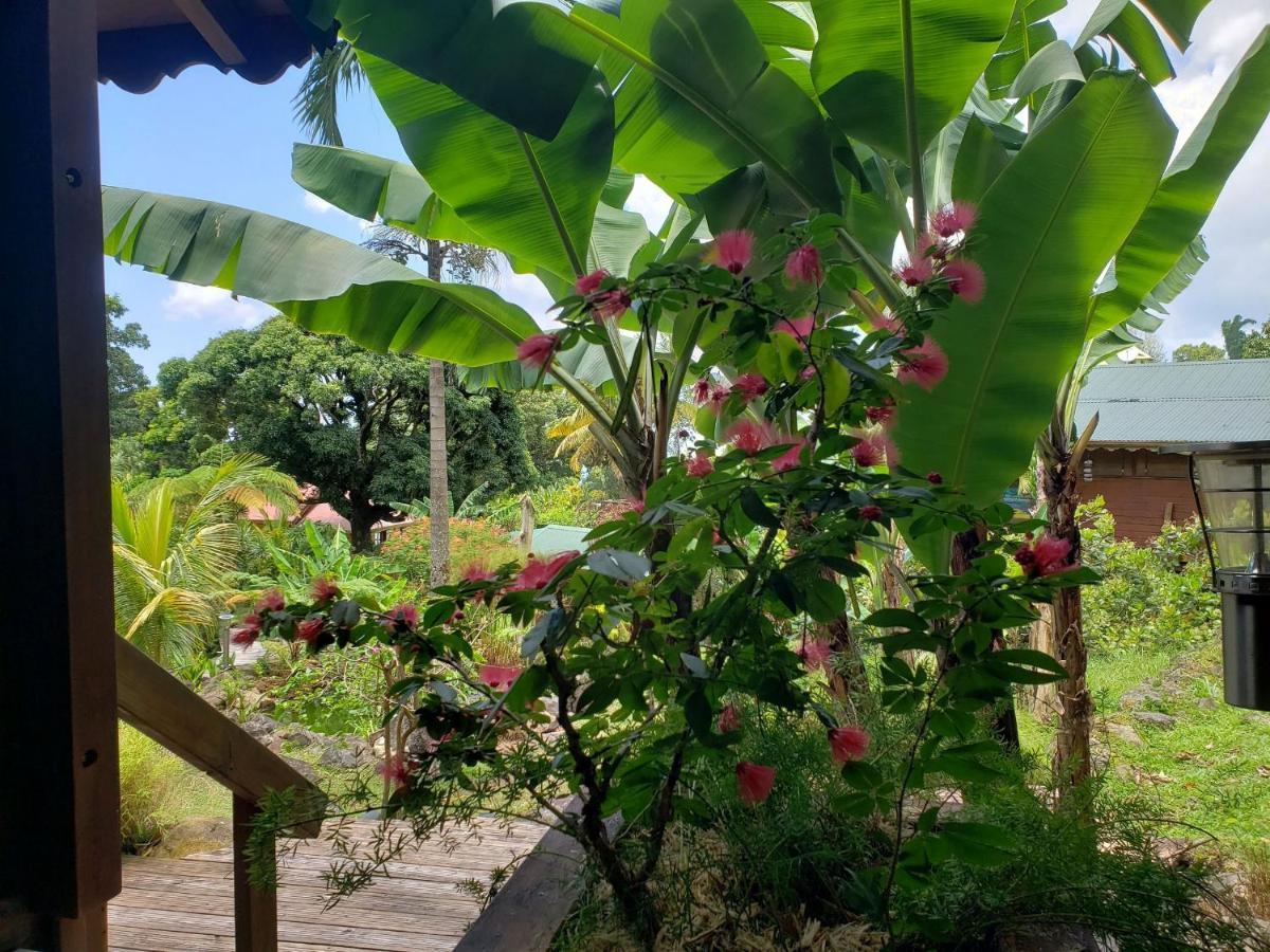 Les Bananes Vertes Ecolodges Saint-Claude Eksteriør billede