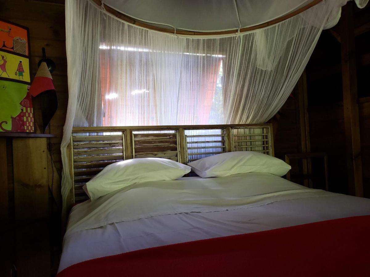 Les Bananes Vertes Ecolodges Saint-Claude Eksteriør billede