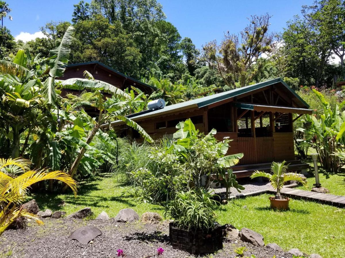 Les Bananes Vertes Ecolodges Saint-Claude Eksteriør billede