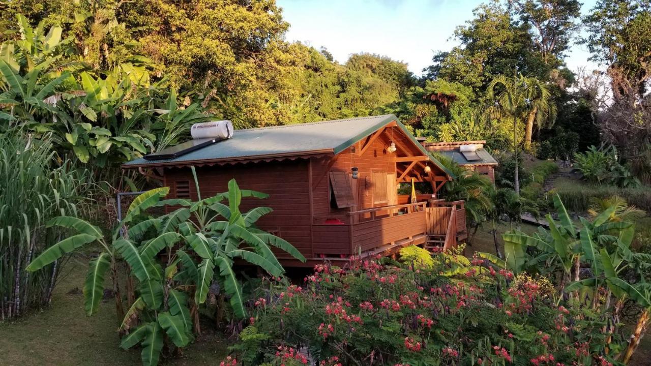 Les Bananes Vertes Ecolodges Saint-Claude Eksteriør billede
