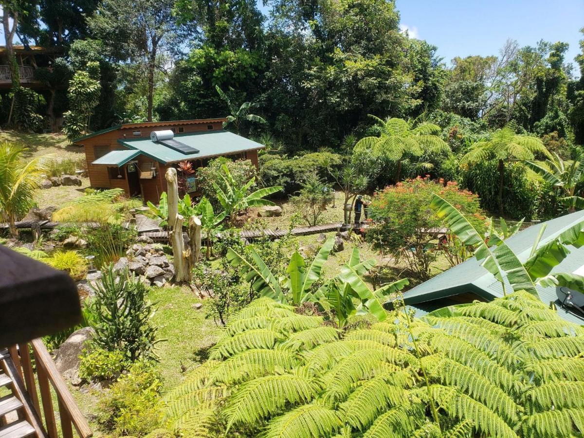 Les Bananes Vertes Ecolodges Saint-Claude Eksteriør billede