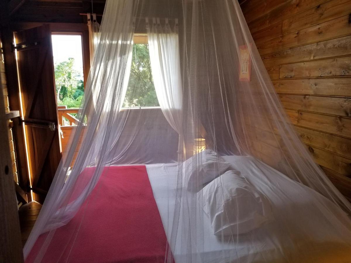 Les Bananes Vertes Ecolodges Saint-Claude Eksteriør billede