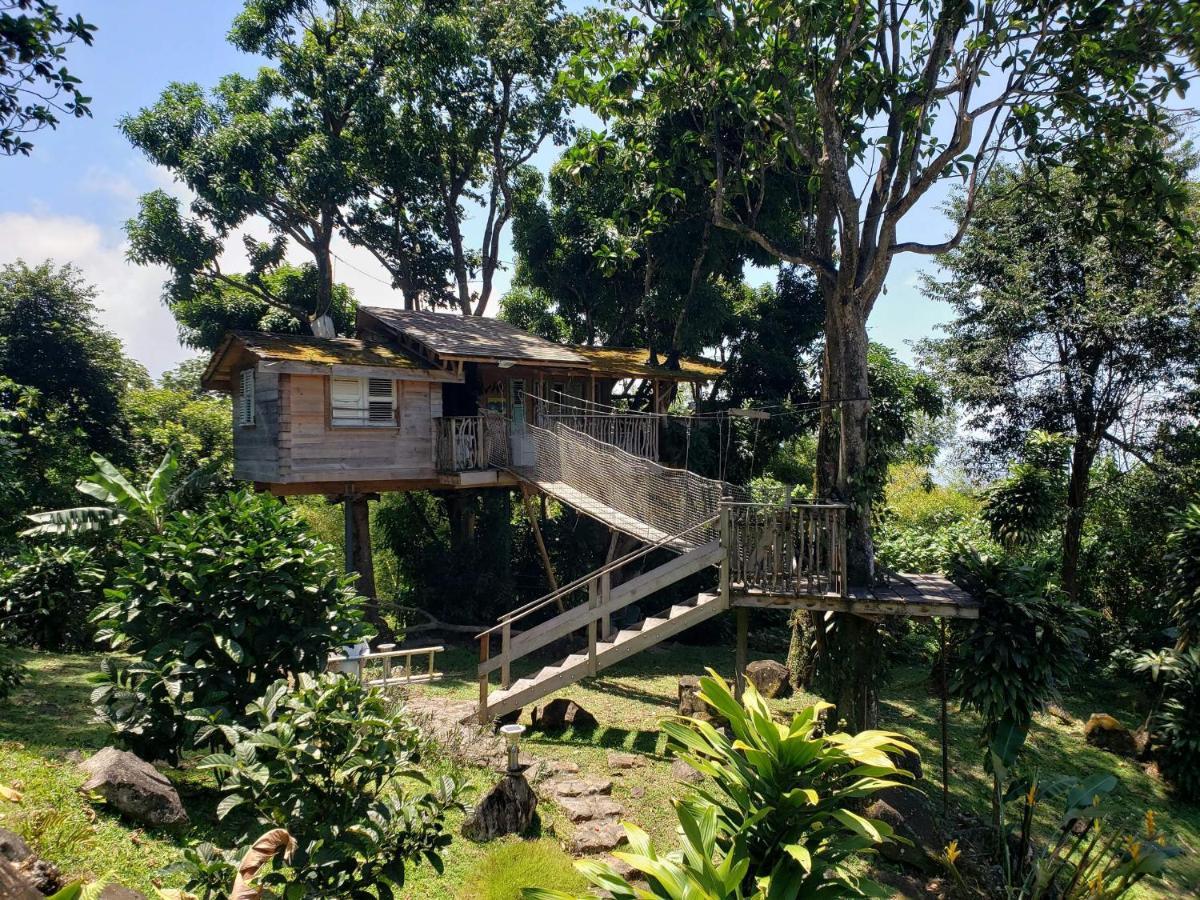 Les Bananes Vertes Ecolodges Saint-Claude Eksteriør billede