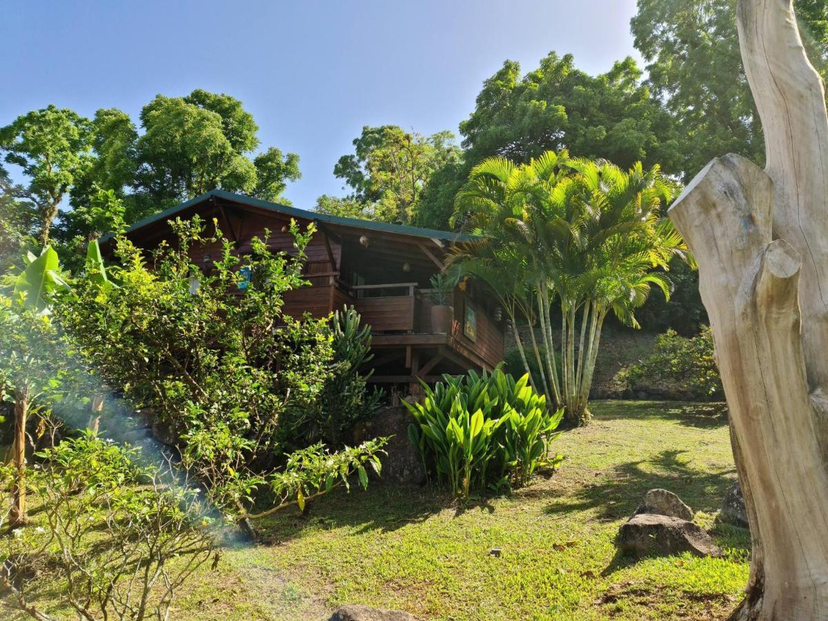 Les Bananes Vertes Ecolodges Saint-Claude Eksteriør billede