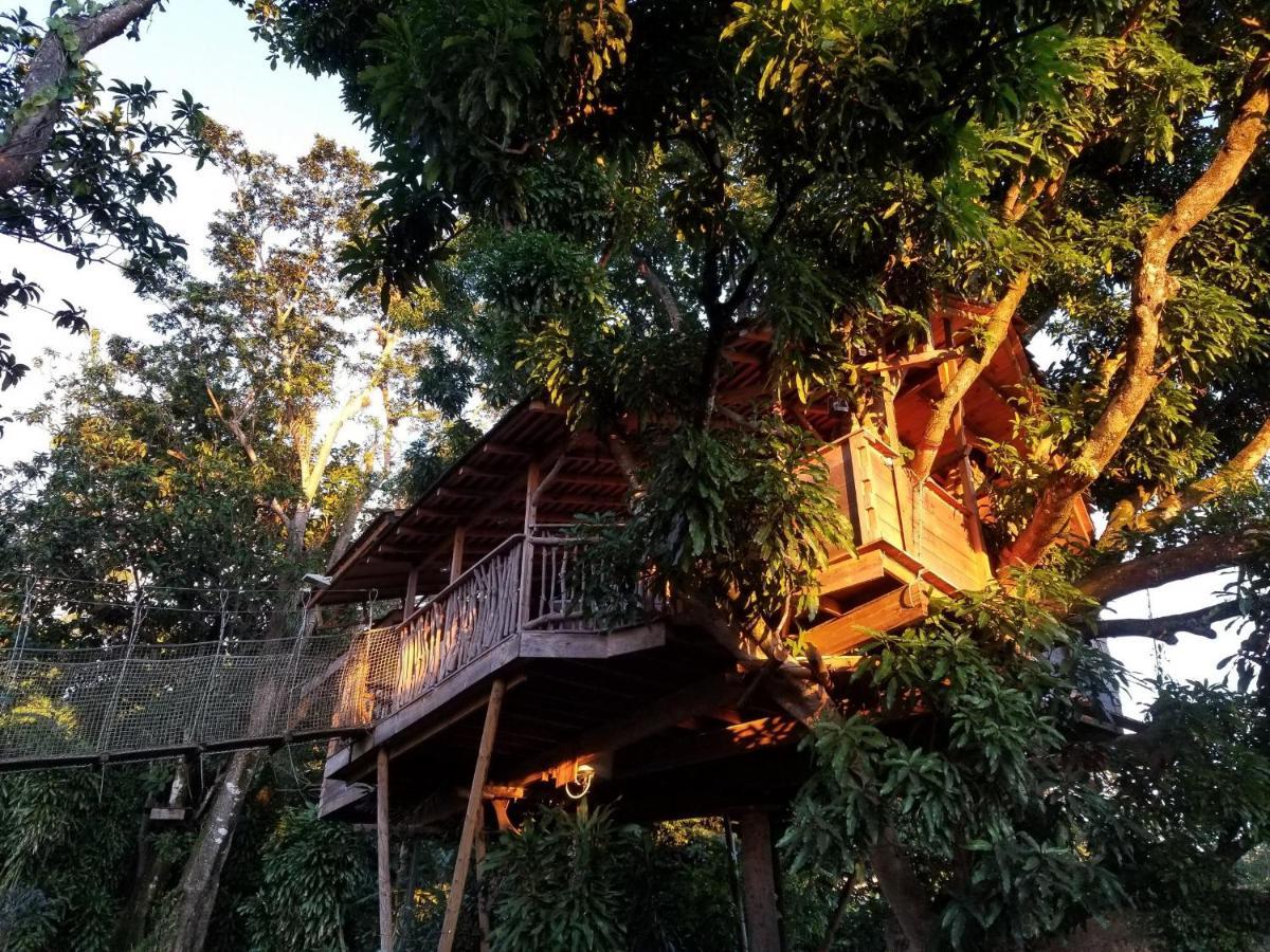 Les Bananes Vertes Ecolodges Saint-Claude Eksteriør billede