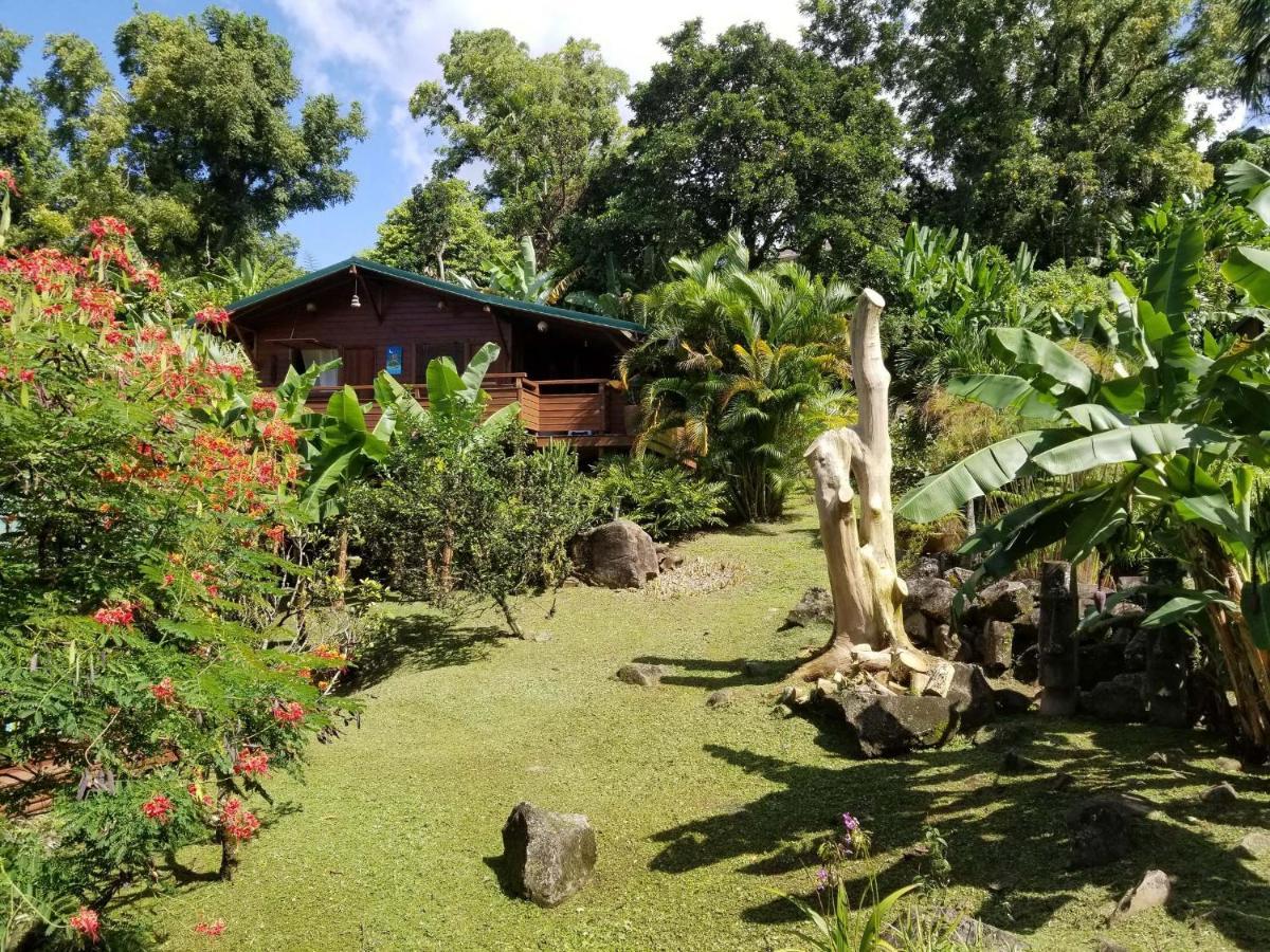 Les Bananes Vertes Ecolodges Saint-Claude Eksteriør billede