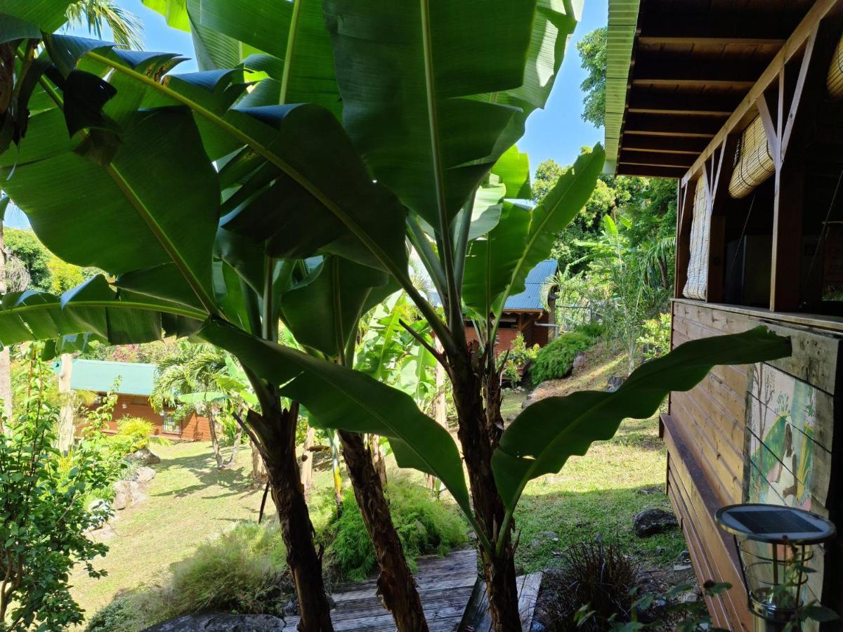 Les Bananes Vertes Ecolodges Saint-Claude Eksteriør billede