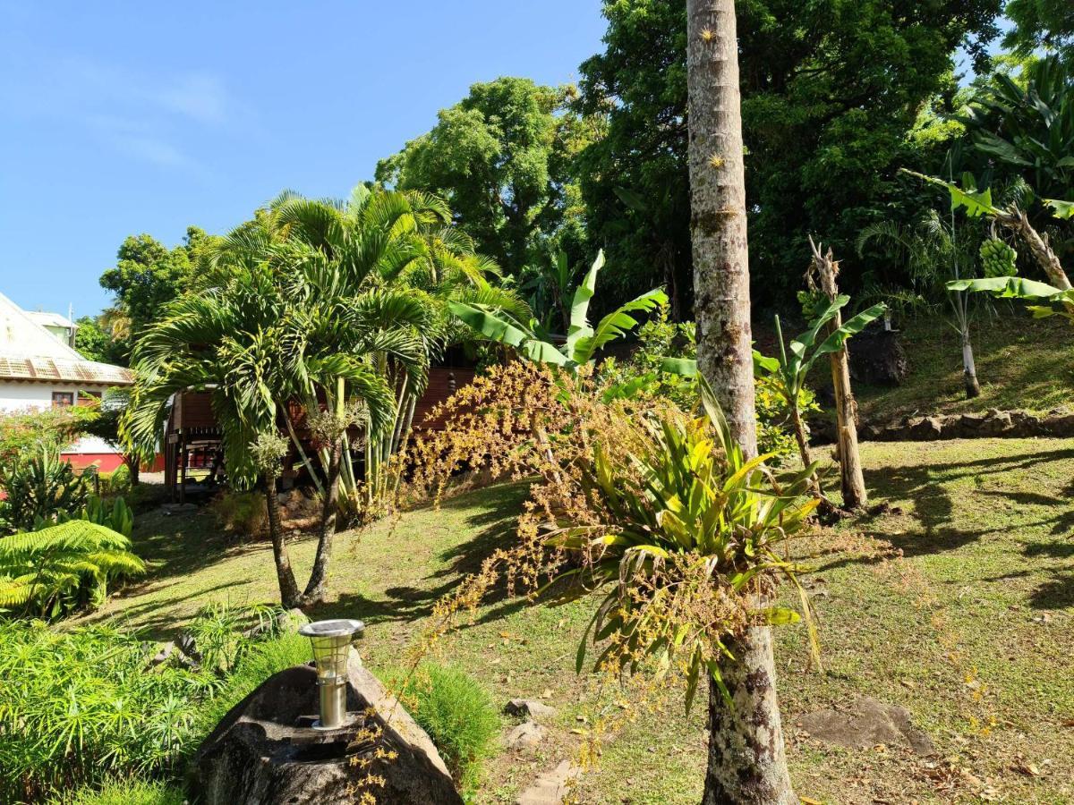 Les Bananes Vertes Ecolodges Saint-Claude Eksteriør billede