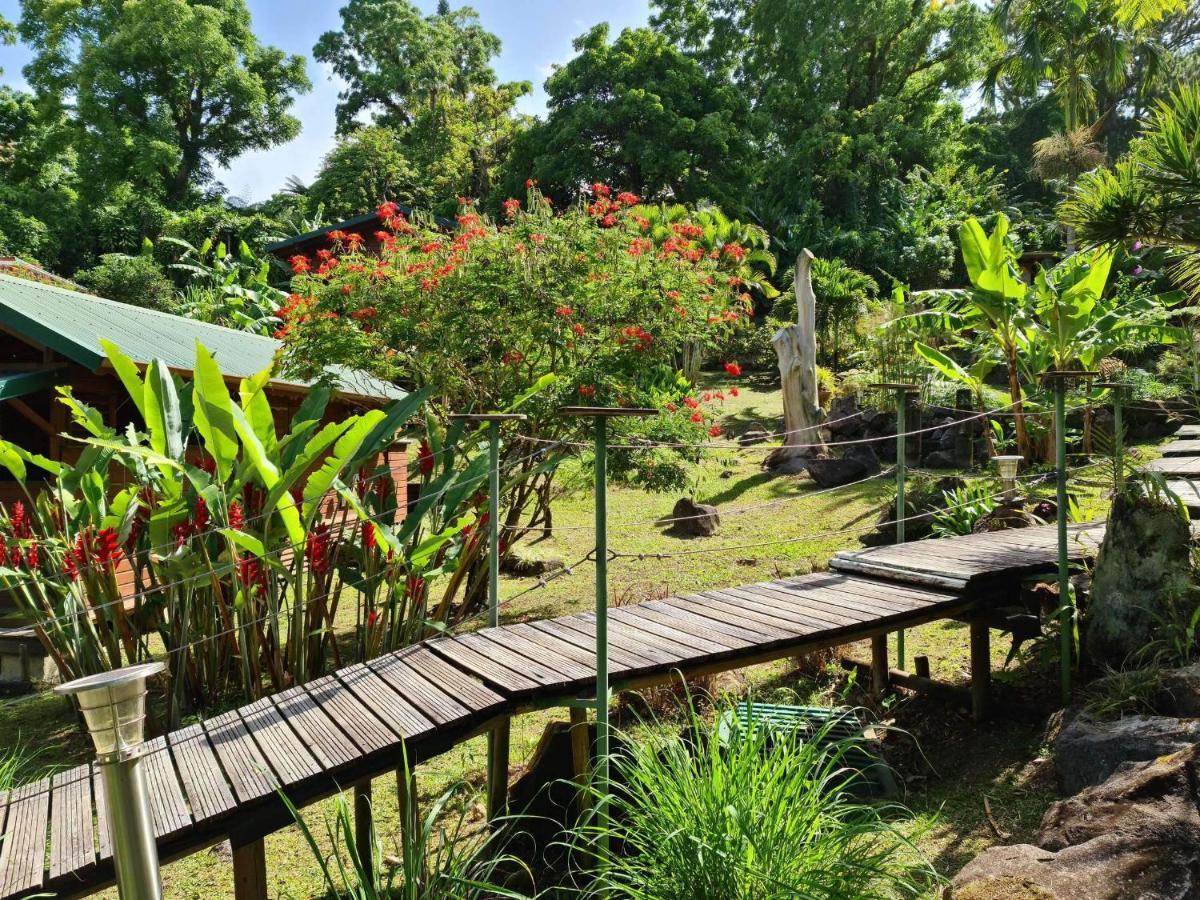 Les Bananes Vertes Ecolodges Saint-Claude Eksteriør billede