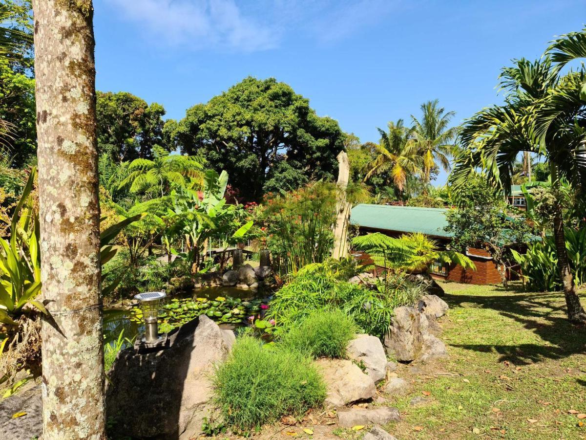 Les Bananes Vertes Ecolodges Saint-Claude Eksteriør billede