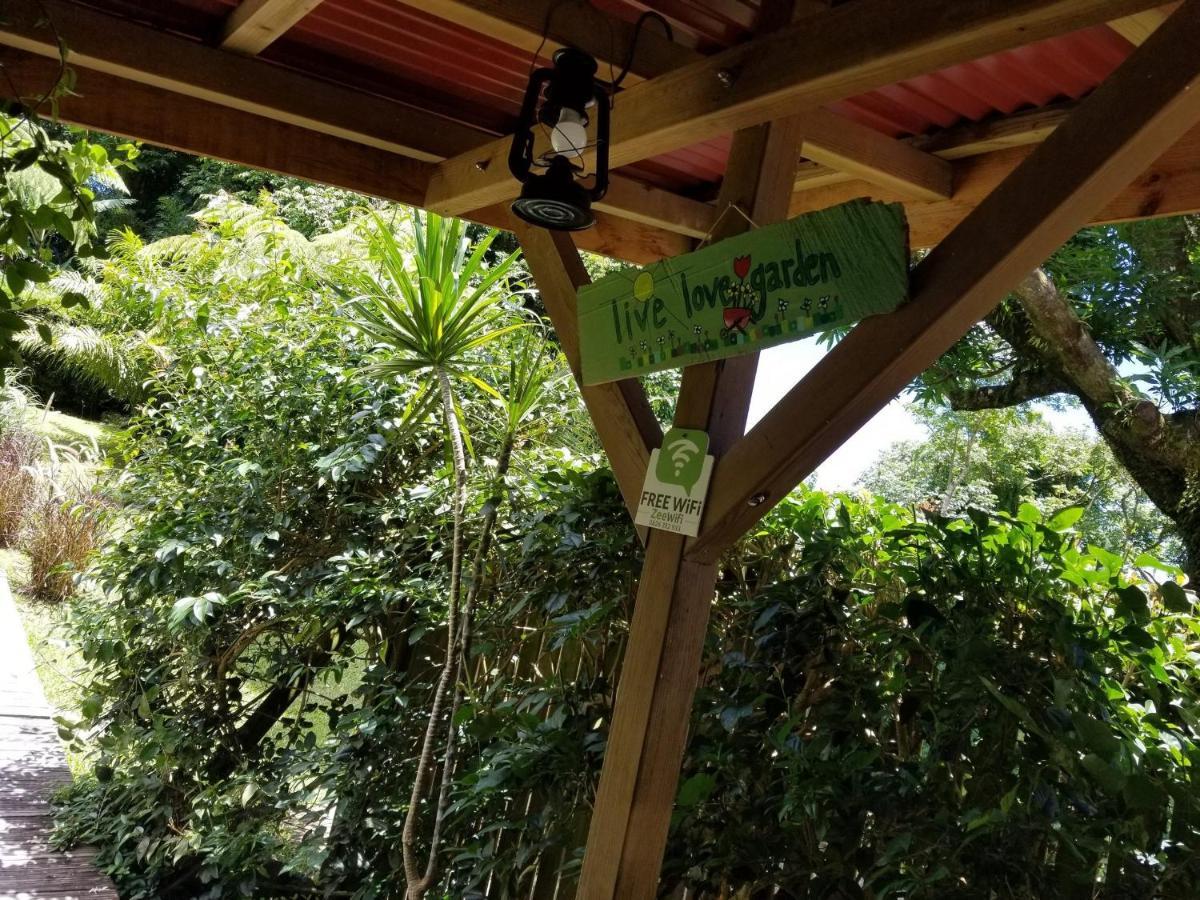 Les Bananes Vertes Ecolodges Saint-Claude Eksteriør billede
