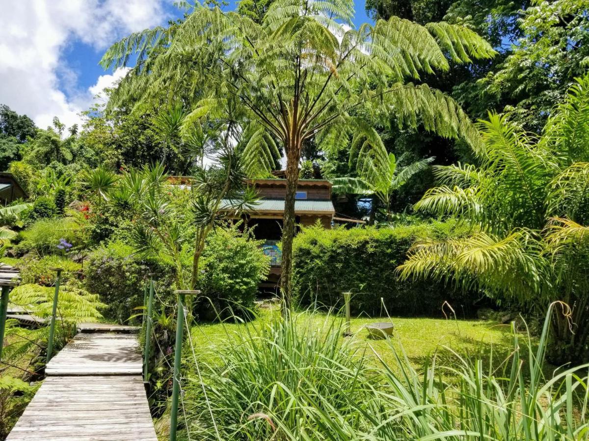 Les Bananes Vertes Ecolodges Saint-Claude Eksteriør billede