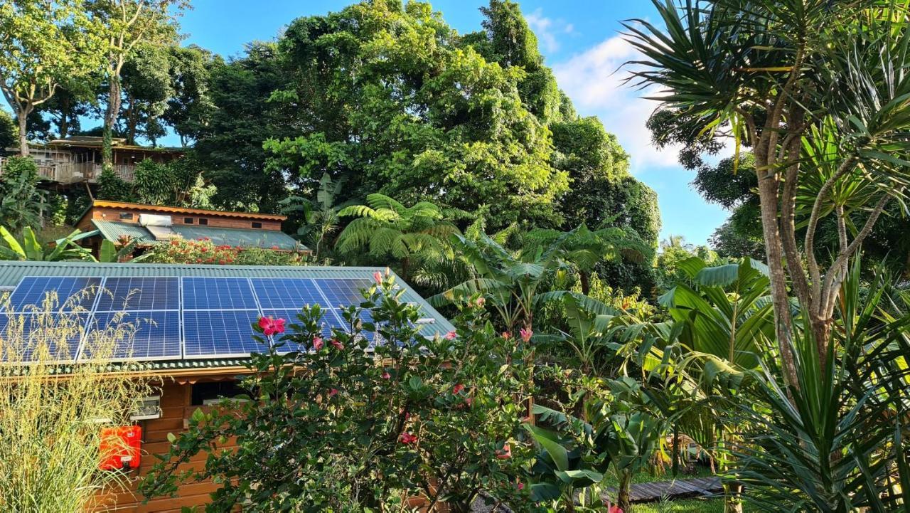 Les Bananes Vertes Ecolodges Saint-Claude Eksteriør billede